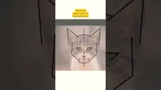 CAT LOGO Design