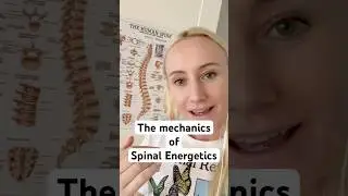 The mechanics of Spinal Energetics #energyhealing #spinalenergetics #somaticexperiencing