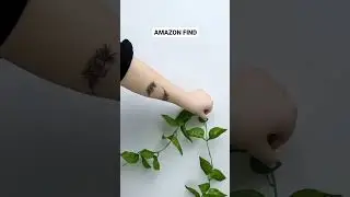Plant Climbing Wall Fixture Clips Invisible Fixer Self-Adhesive Hook Plant  Binding Clip Wall Vines
