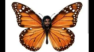 DAY 1 OF 6 HOURS LIVE | BUTTERFLY EVENT OR THAR PAHI EVENT ?  #bgmilive #tamilbgmilive #ravensharp