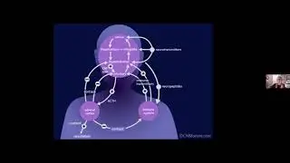 Guided Imagery Overview