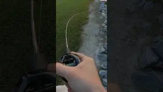 Bass RIPS drag from Ark Gravity BFS reel | OSP Dice Rubber on BFS