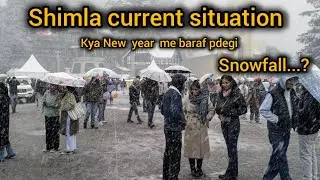 Shimla current Situation on 1st January | Shimla snowfall update | New year | Himachal pradesh