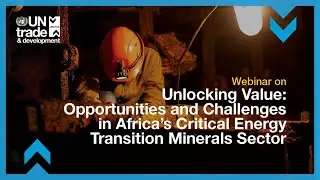 Unlocking value: Opportunities and challenges in Africa's critical energy transition minerals sector