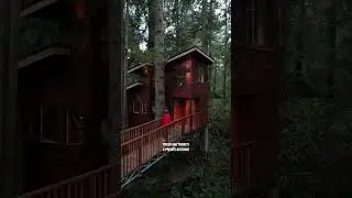 Here are four Airbnb&rsquo;s on Vancouver Island that need to be on your bucket list!