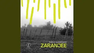 Seven (feat. Amir Darabi, Arif Mirbaghi, Mahan Mohammadi & Kan Yanabe)