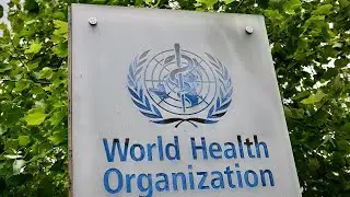 WATCH: World Health Organization holds coronavirus briefing