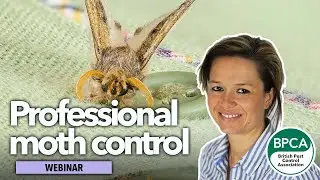 Principles of moth control for pest professionals