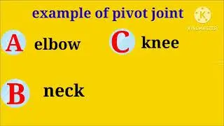 example of pivot joint