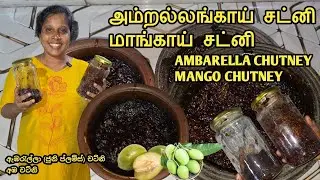 AMBARELLA CHUTNEY | MANGO CHUTNEY | அம்பிறல்லங்காய் சட்னி | மாங்காய் சட்னி | Cooking | Sobas House