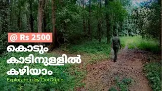 Thattekad Bird Sanctuary | Stay in Forest Thattekad Kerala