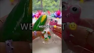 Распаковываем самые странные игрушки-фиджеты за 1 доллар с Amazon! 😱🤨😳 *сенсорная мягкость*