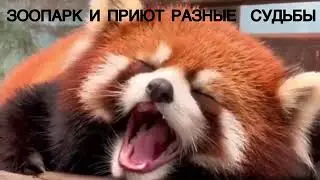The fate of animals is different