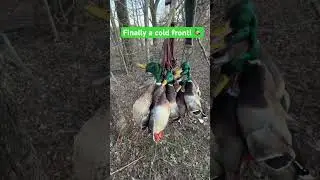 Finally a good cold front! 🦆 #hunting #outdoors #waterfowl #ducks #duck #viral #arkansas #ducklife