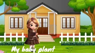 My baby plant||plant story||cartoon||cartoons for kids||moral
