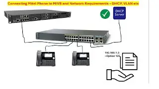 How To Connect Mitel 69series Phone to MIVB and Network Requirements | Mitel Academy