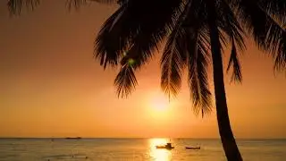Napoleon Hill - Think and Grow Rich | Principles