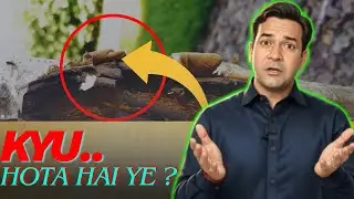 What causes papery bark? Learn the causes, symptoms, and solutions to improve plant health. 🌿✨