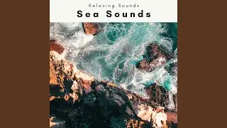 Beach Music Journey for Instant Relax