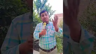 monkey bhai ka jawab #comedy