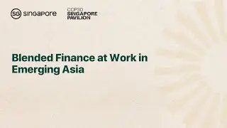 [COP30] Blended Finance at Work in Emerging Asia