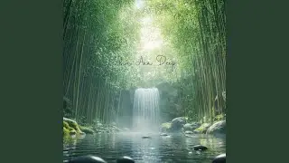 Mindful Moments