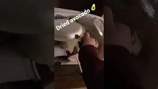 Crunchy avocado 🥑