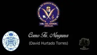 BM San Antonio de Padua (Villanueva del Ariscal) - Inmaculada Concepción - Corpus Christi