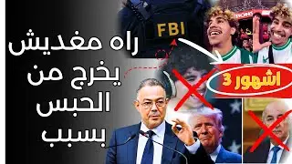 قضية رؤوف بلقاسمي بالمغرب: الحقيقة بدون تضليل - raouf belkacemi
