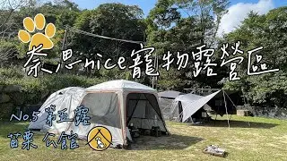 【露營】奈思nice寵物露營區ㅣ露營區ㅣ第5露ㅣC區ㅣ低海拔ㅣ寵物ㅣ馬爾地夫300ㅣ努特帳篷ㅣ迪卡農客廳