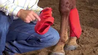 Why Choose Prodigy&reg; Guardian To Protect Your Horse's Legs