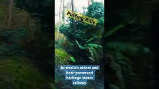 Puffing Billy Steam Train #pinoyabroadwalking #puffingbillyrailway #dandenongranges #visitmelbourne