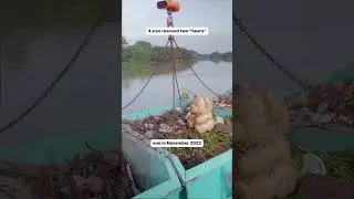 1,000,000 kg of trash removed by Interceptor 002 in Malaysia #shorts