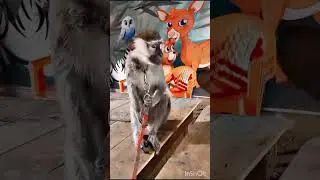 Gardan zoo#karachi pakistan beautiful animal zoo 