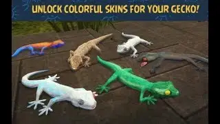 ►Gecko Simulator 3D - Android HD Gameplay