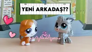LPS Minişler: Proje Arkadaşım!! 📝