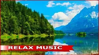 live chat!!Relaxing Music Live Stream | Sleeping Music, Meditation Music - Beautiful tropical nature