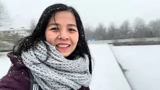 Жизнь во Франции — ещё одна зима, когда мы можем наблюдать за снегопадом.