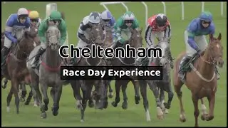 Cheltenham Races | Our race day experience | Cheltenham Festival.