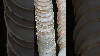 White king agate stone Coasters/ Agate stone slices/ #Agate stone Cup Costers/ #Gemstone Slices