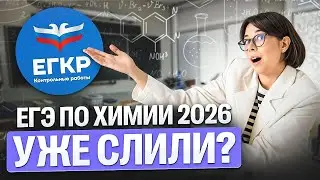 Слив ЕГЭ по химии 2026 | Разбор ЕГКР | Катя Строганова