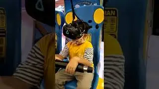 Danish Main VR Paw Paw