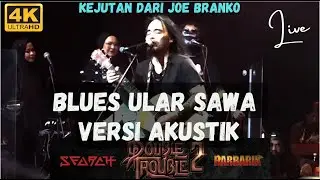 DOUBLE TROUBLE BLUES ULAR SAWA VERSI AKUSTIK VERSI PADU GILER