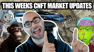 CNFT Market Update #6- Pavia, Smooth Yeti MC, Spacebudz, Ape Society, Cornucopias, BCRC, and More!
