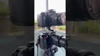Nikon d5600 vs canon 2000d image quality OBJ test #photography #nikond500 #trending #viral #shorts