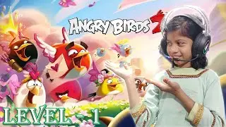 ANGRY BIRD 2 | Furious Fowl Fanatics LEVEL -1 | D-C-D KIDS GAME