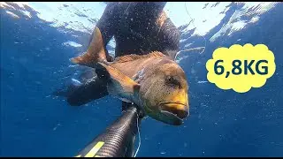 DENTICI d'inverno - 6,8kg e 5,5kg - Pesca sub Spearfishing