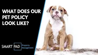 Puyallup Property Manager: How Our Pet Policy Applies to Tenants
