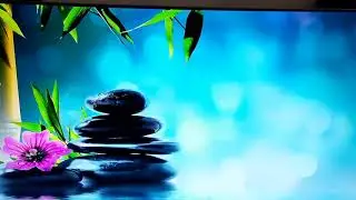 Shavasana (english version). Stability.