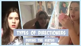 TYPES OF DIRECTIONERS DURING THE HIATUS